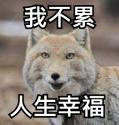 1750303737177.jpg