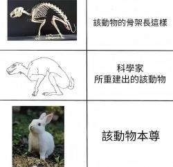 1750304290283.jpg