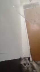 1750310811204.webm