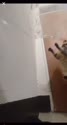 1750310847808.webm