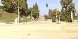1750310950442.webm