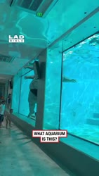 1750325786115.webm