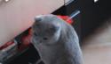 1750325922097.gif