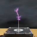 1750334996307.webm