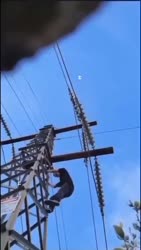 1750335607414.webm