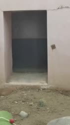 1750338495974.webm