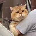 1750338648670.webm