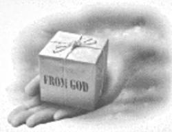 1750339908127.png