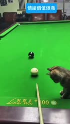 1750341307506.webm