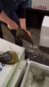 1750341315334.webm