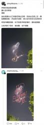 1750342681221.jpg