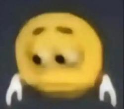 1750348121869.jpg
