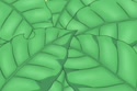 5097 KB
