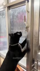 1750357820151.webm