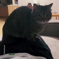 1750366833126.webm