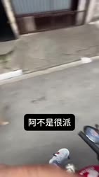 1750380761729.webm