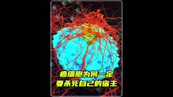 1750381698075.webm