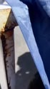 1750381856674.webm