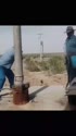 1750381888410.webm
