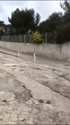 1750381949039.webm