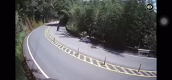 1750389648002.webm