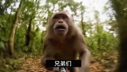 1750409479950.webm