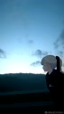 1750416884179.webm