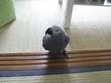 1750426610213.webm