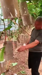 1750431738313.webm