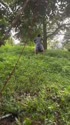 1750438628696.webm