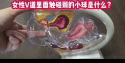1750497542521.webm