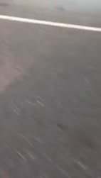 1750502468926.webm