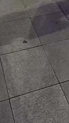 1750503195219.webm