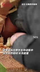 1750504574882.webm
