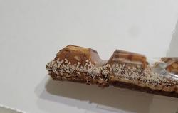 1750505032814.jpg