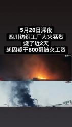 1750505442065.jpg