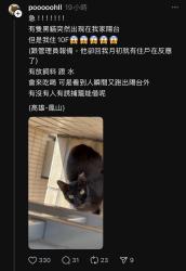 1750507652548.jpg