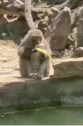 1750509667222.webm