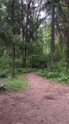 1750510272646.webm