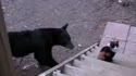 1750510931182.webm