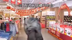 1750516531831.webm