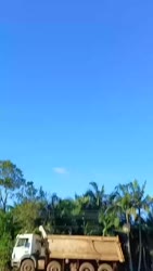 1750517403315.webm