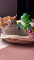 1750517690767.webm