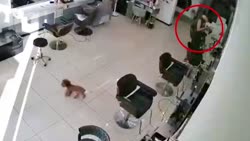 1750538874897.webm