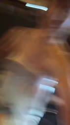 2383 KB