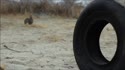 1750548905435.webm