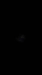1750549501347.webm