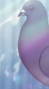 1750569926287.webm