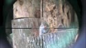 1750584990767.webm