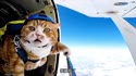 1750593433753.webm